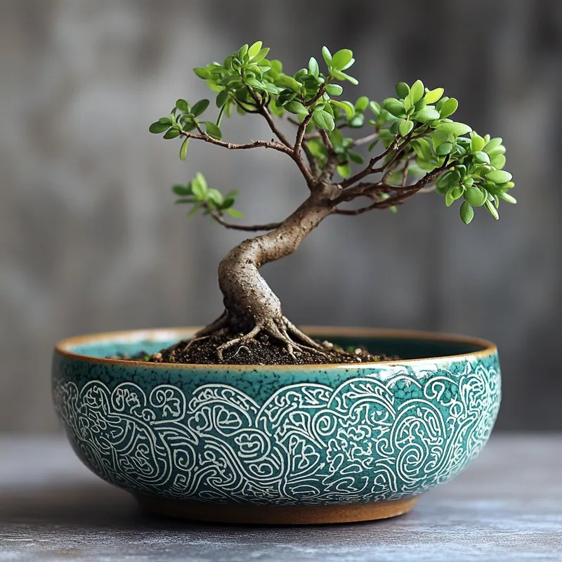 Heritage Arunachal Pradesh Planters Bonsai Ceramic Dishes Collection Variant 1
