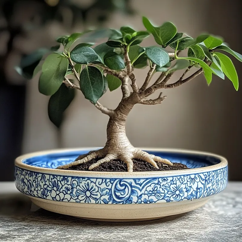 Heritage Arunachal Pradesh Planters Bonsai Ceramic Dishes Collection Variant 2
