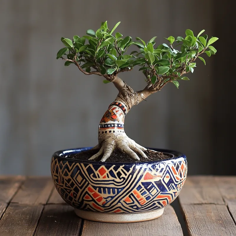 Assam Artistic Planters Bonsai Ceramic Dishes Variant 1